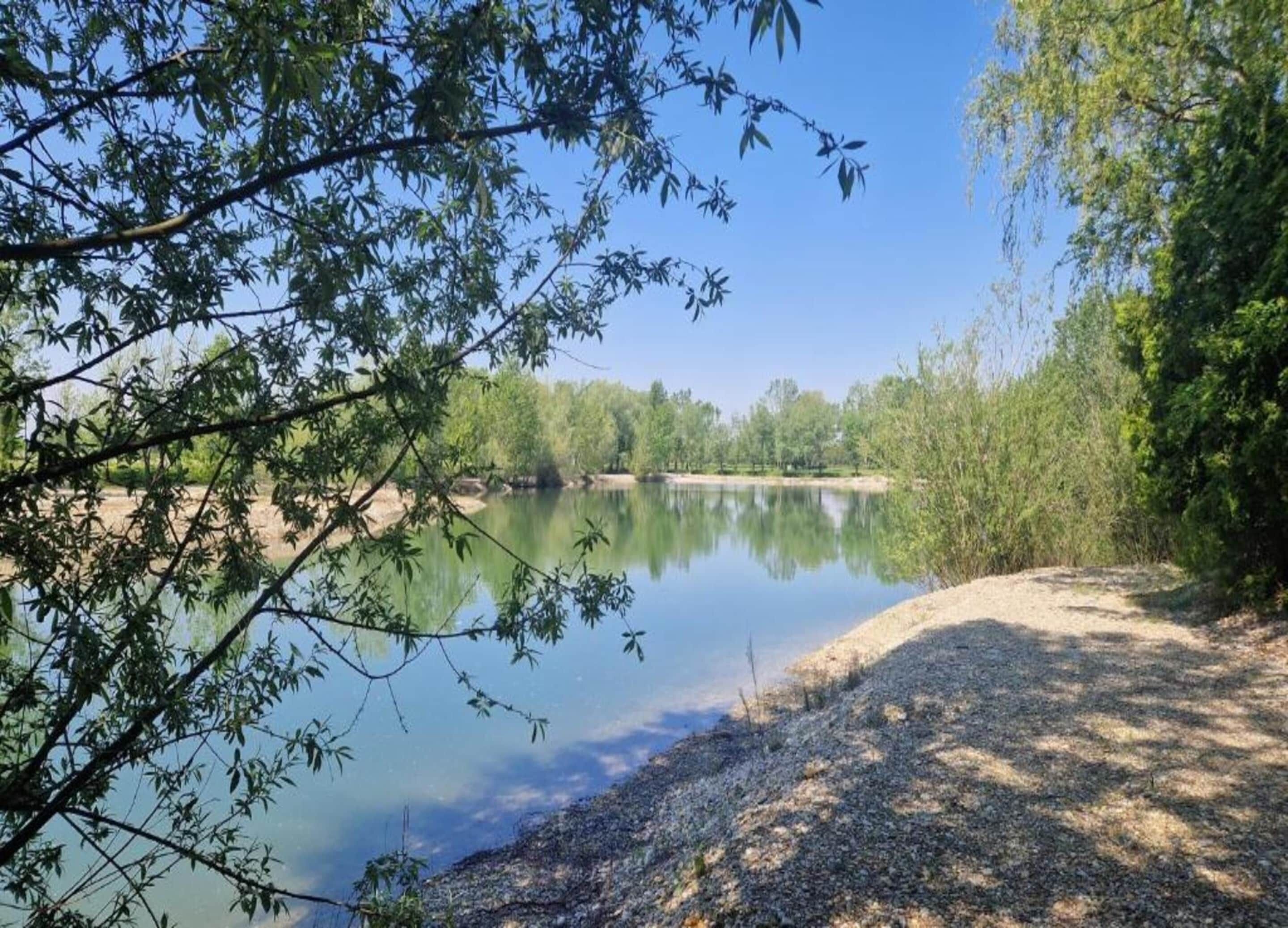 A tranquil riverside setting with a gravel path leading to a sandy area, surrounded by dense greenery and trees reflecting in the calm water.