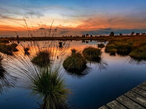 Ferienhaus | Blick von der Unterkunft
