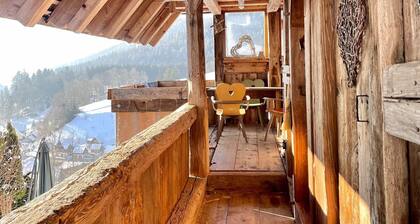 Charmantes, Einladendes Ferienhaus in Toller Natur