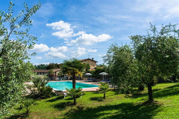 House | Pool | Outdoor pool