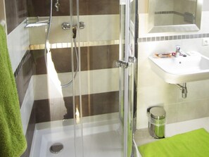 Bathroom features a glass-enclosed shower, handheld showerhead, and wall-mounted faucet.
