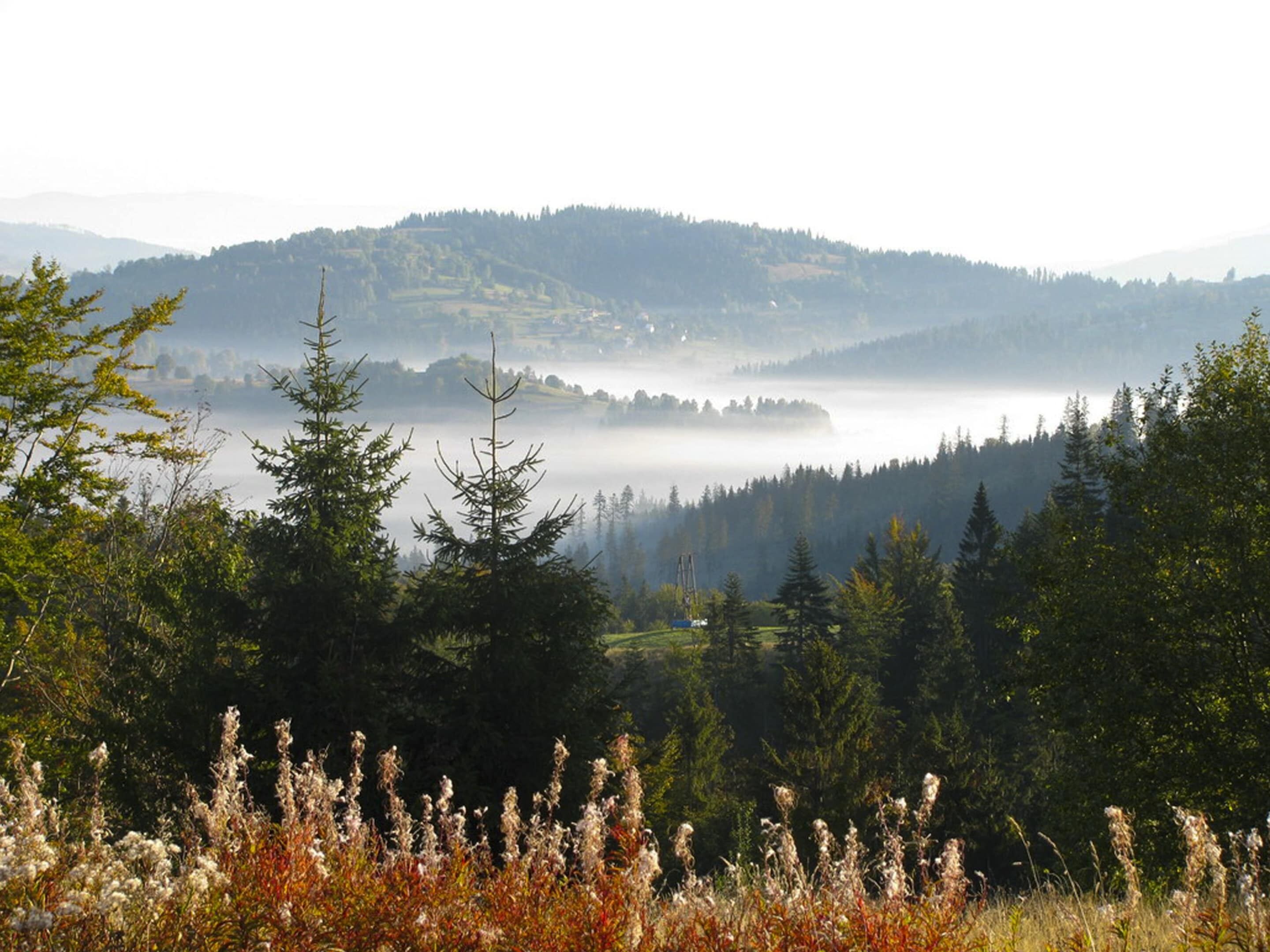 A mountainous landscape with a lake, dense forest, and a clear view of the surrounding hills.