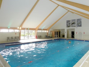 Pool - Cosy Holiday Home in Saint Columb With Garden (St. Columb Major)