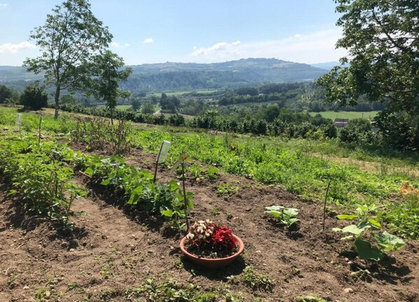 Ferienhaus | Blick von der Unterkunft