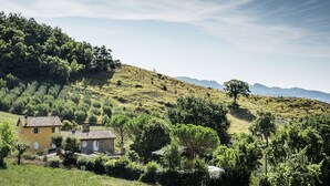 Un paysage rural avec une maison jaune, entourée de verdure et d’arbres.