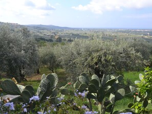 House | View from property