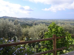 Casa | Vistas desde el alojamiento