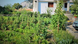 Una casa moderna con un jardín delantero.