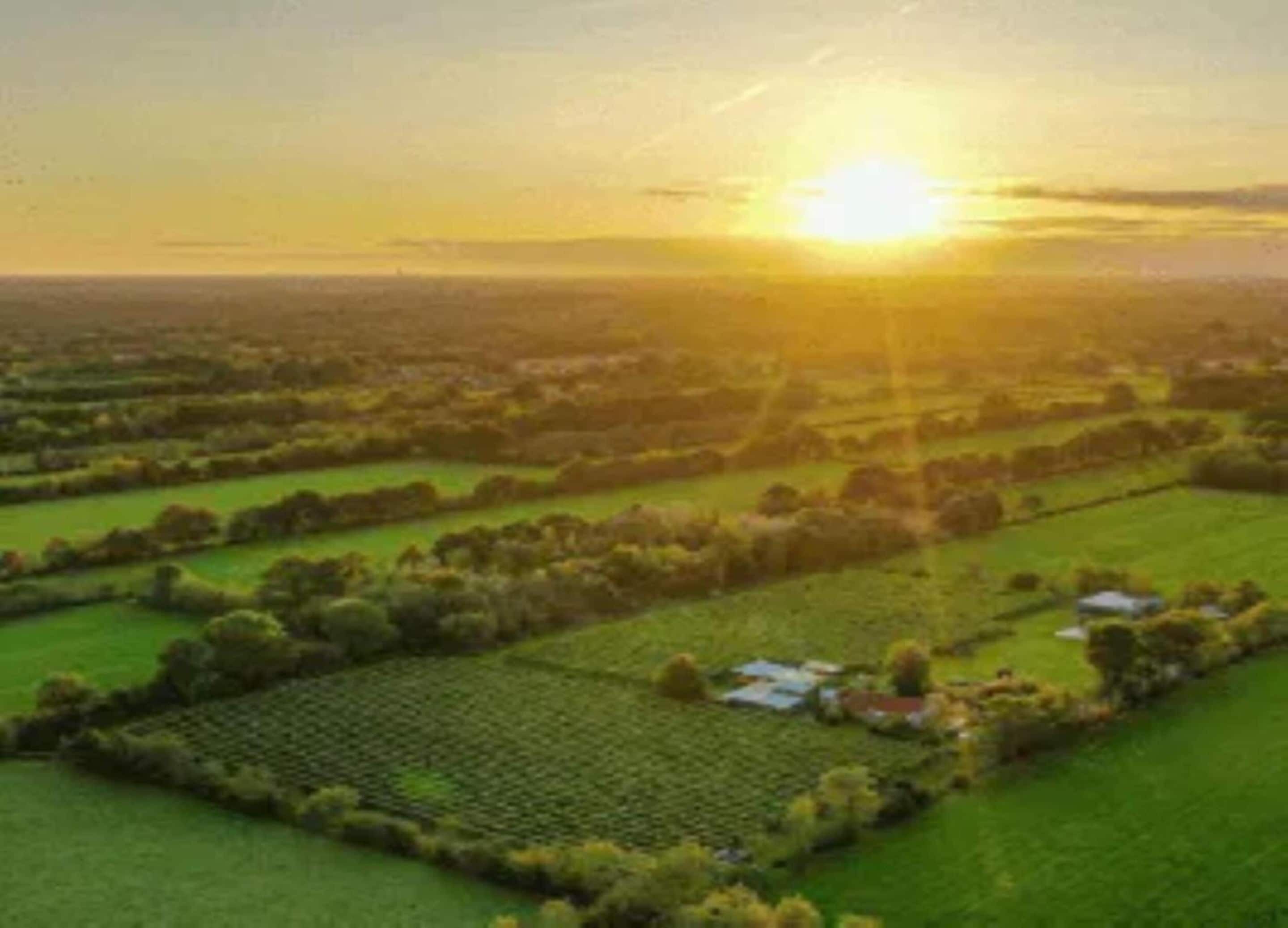 An aerial view of a rural landscape with fields, trees, and scattered houses during sunset.
