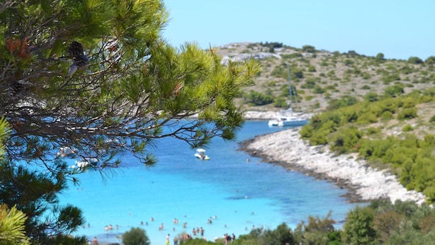 A coastal landscape with clear blue waters, rocky shorelines, and sparse vegetation. - Apartment by the Beach in Dalmatia (Bilice)