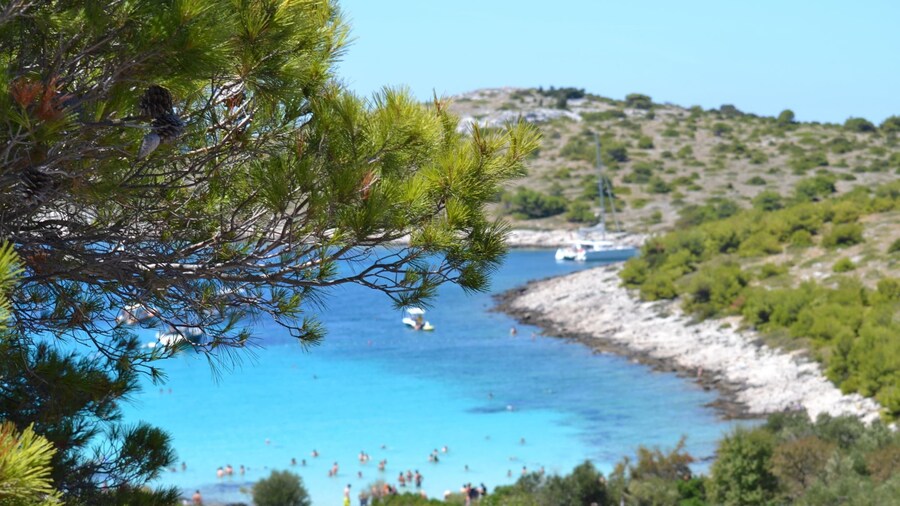 Apartment by the Beach in Dalmatia