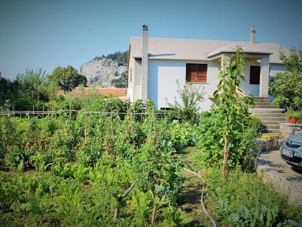 Uma casa moderna com um jardim da frente.