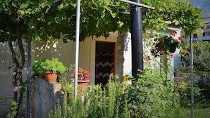 Een huis met een pergola begroeid met klimplanten, bloempotten en een tuin.
