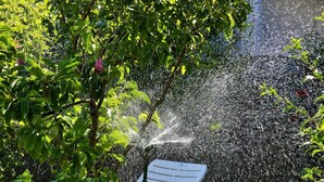Een tuin met een waterpartij en een witte stoel.