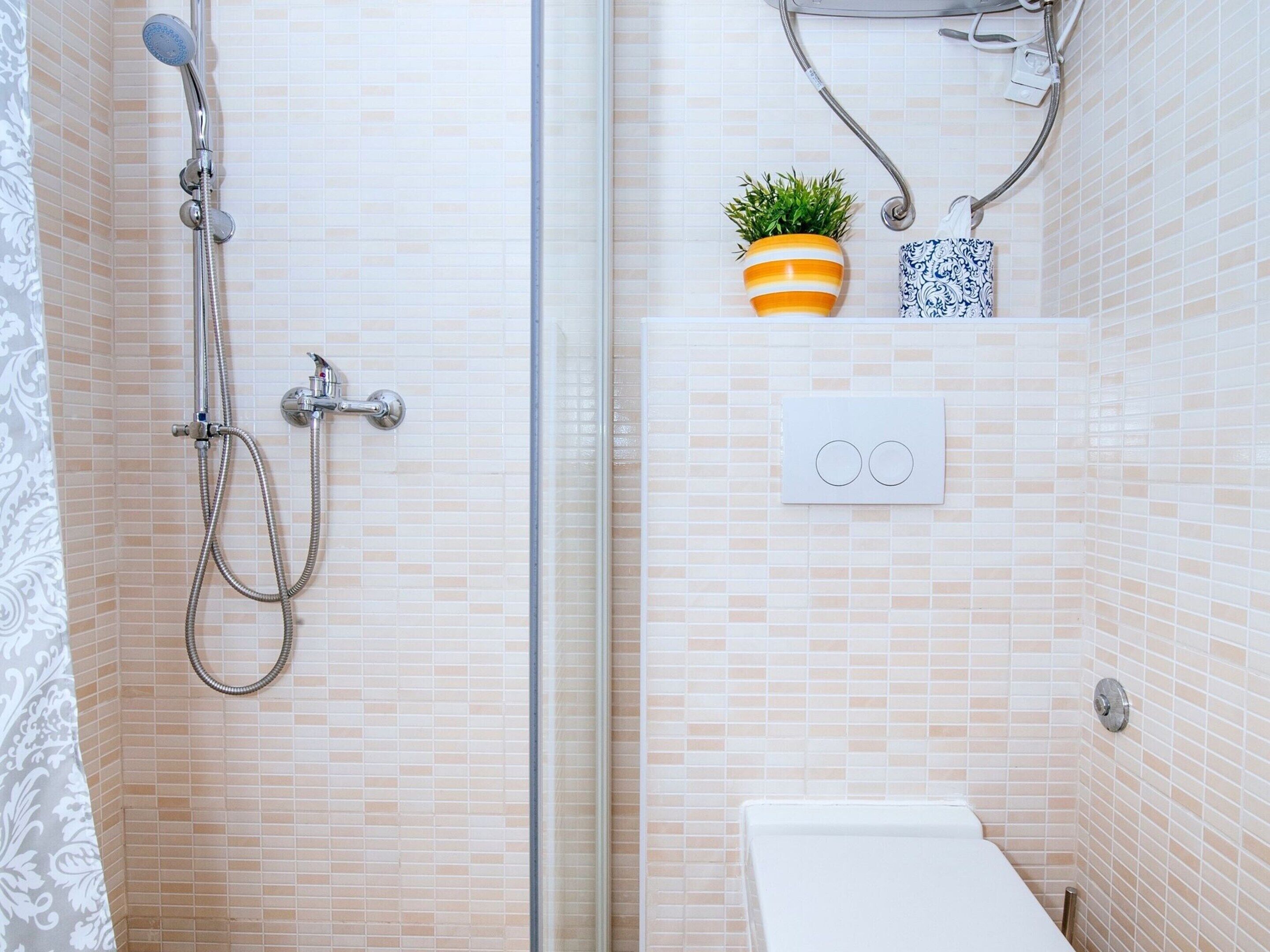 A bathroom with a shower, a toilet, and a small shelf with a plant and a decorative item.