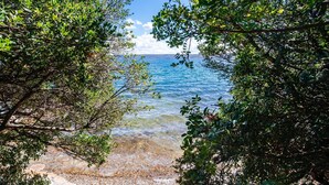 Une plage aux eaux cristallines, bordée d’une végétation luxuriante qui encadre le paysage.