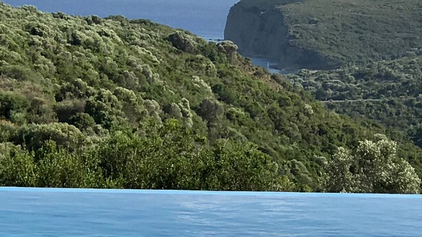 A coastal landscape with a cliff and dense greenery.