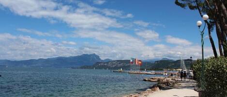 House | View from property