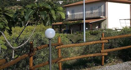 Spacious Holiday Home in Patti With Pool