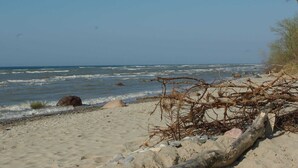 A beach with sand, rocks, and driftwood. - Charmante Ferienwohnung in Wismar am Hafen (Wismar)