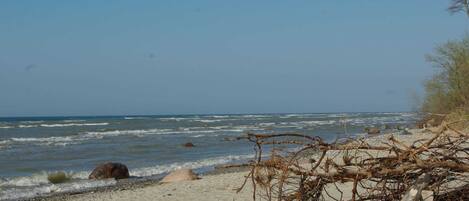 Departamento | Vista desde la propiedad