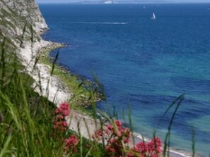 Exterior - Modish Holiday Home in Swanage With Garden (Swanage)