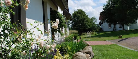 Apartment | Exterior