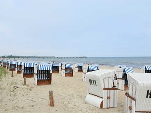Apartment | View from property - Cozy Apartment in Boltenhagen near Sea Beach (Boltenhagen)