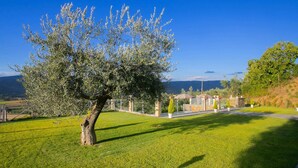 A well-maintained lawn with a prominent tree, a stone wall, and a view of distant hills. - Holiday Home in Cortona With Pool & Valley Views (Cortona)
