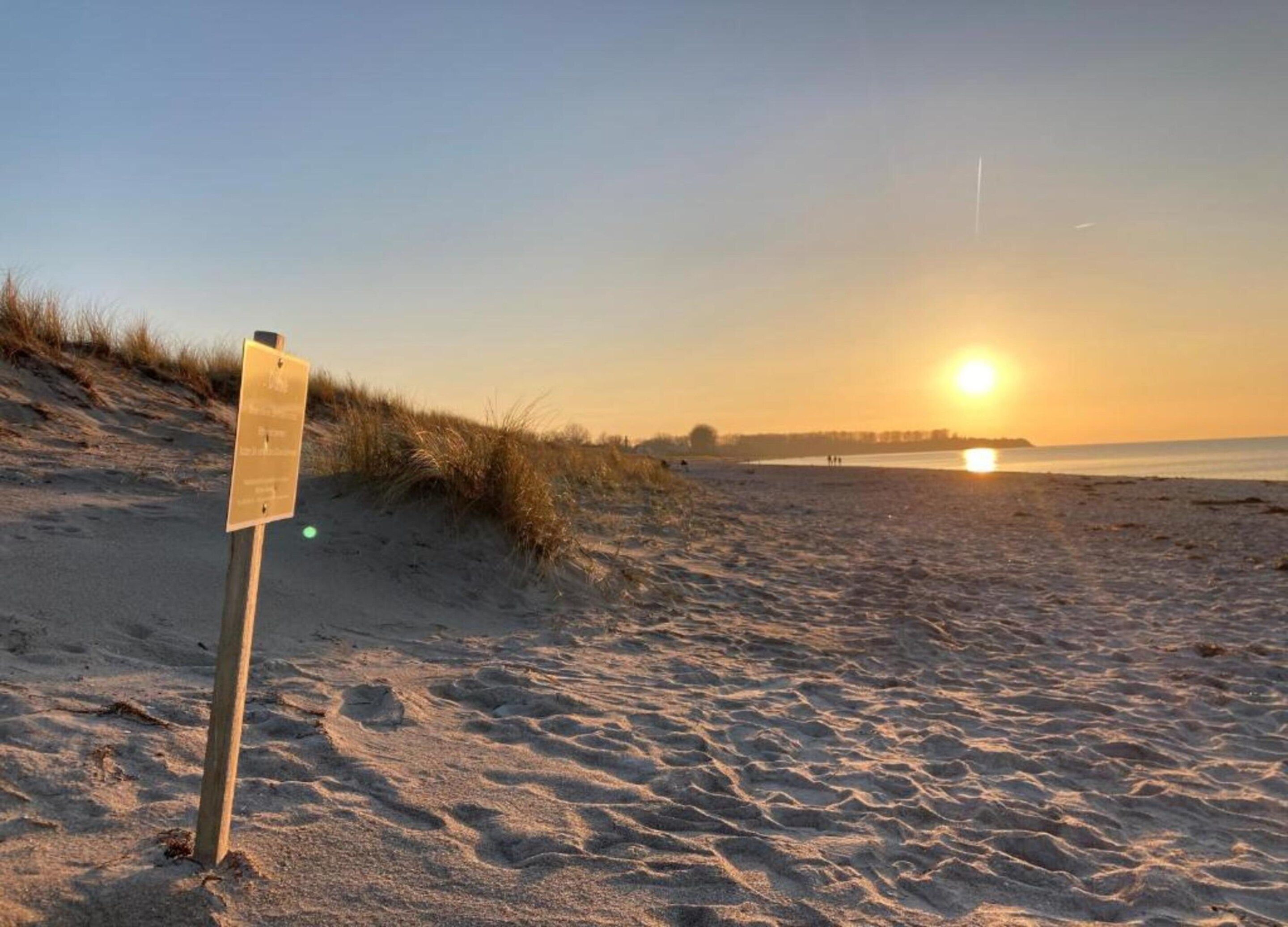 A beach with a signpost and the sun setting over the water.