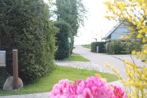 Ferienhaus | Blick von der Unterkunft