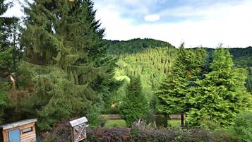 Rumah | Pemandangan dari properti