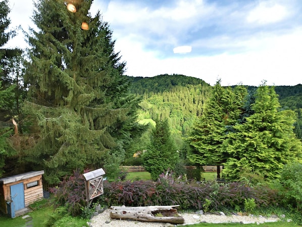 House | View from property - Gruppen- Ferienhaus in Wieda (Walkenried)