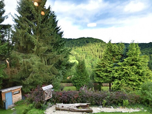 Gruppen- Ferienhaus in Wieda