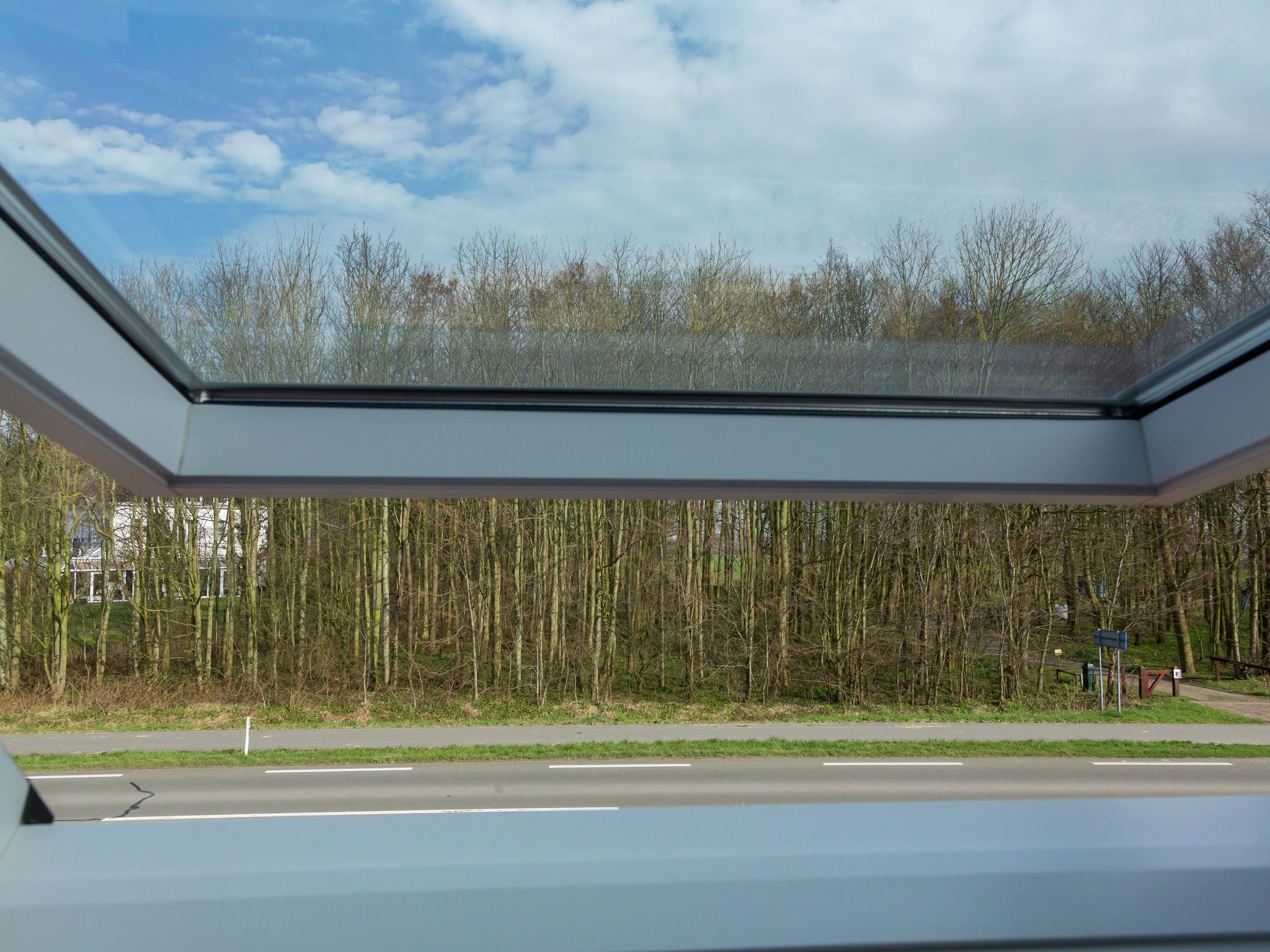 A skylight with a view of leafless trees and a road.
