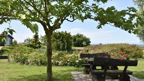 A garden with a bench, a tree, and a pathway. - Ferienwohnung in Bastorf for 3 Personen (Bastorf)