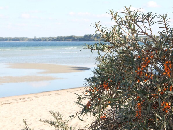 アパートメント | 施設からの眺望