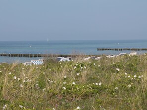 Exterior - Idyllic Holiday Home in Gerdshagen With Barbecue (Satow)