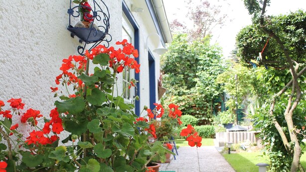 A pathway leading to a house with a white exterior and blue trim. - Attractive Bungalow in Damshagen near Sea (Damshagen)