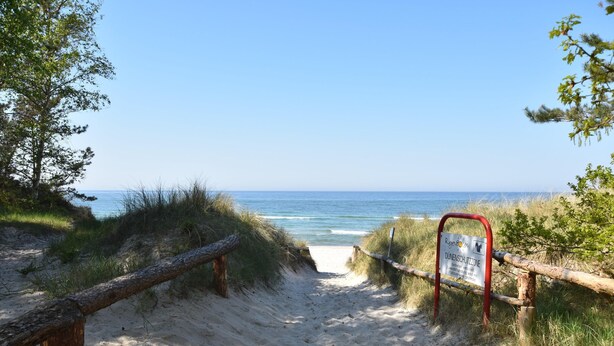 Un sendero arenoso que lleva al océano, con un letrero que indica una zona de dunas protegida.