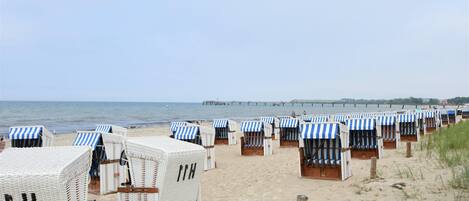 Bungalow | Blick von der Unterkunft