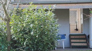 A wooden bench, a small tree, and a building with a door and steps. - Spacious Bungalow near Sea in Grundshagen (Klütz)