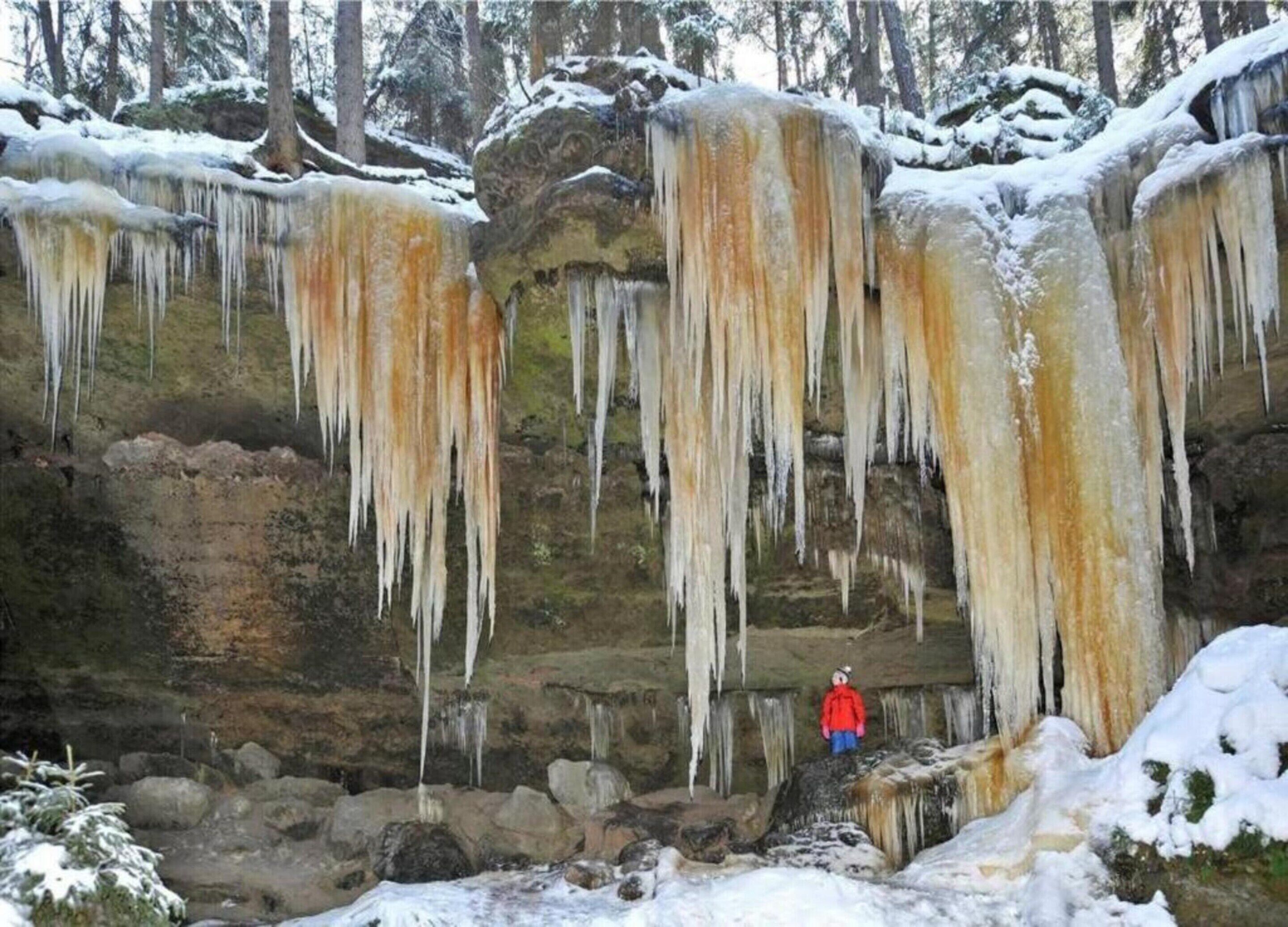 A natural ice formation with icicles hanging from a cliff, surrounded by snow-covered trees.