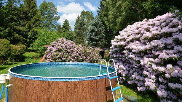 Una piscina exterior con cubierta de madera y escalera, rodeada de exuberante follaje y arbustos florecientes.