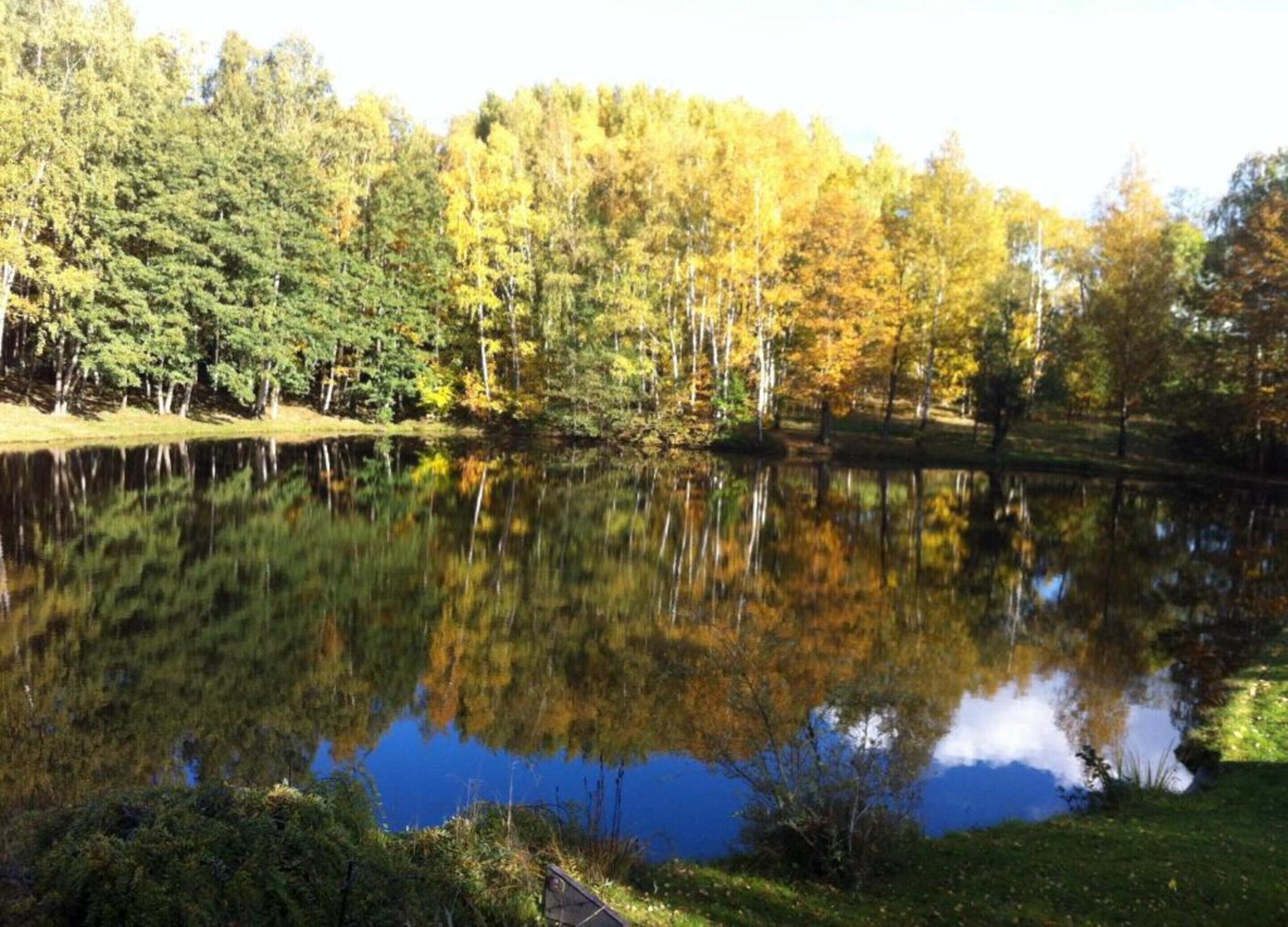 A calm lake surrounded by trees with autumn foliage.
