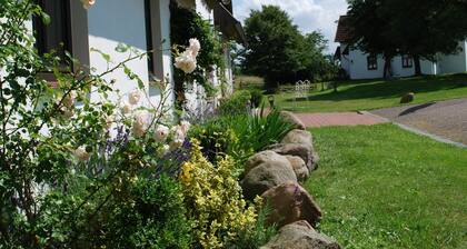 Apartment in Dargun With Pool & Barbecue