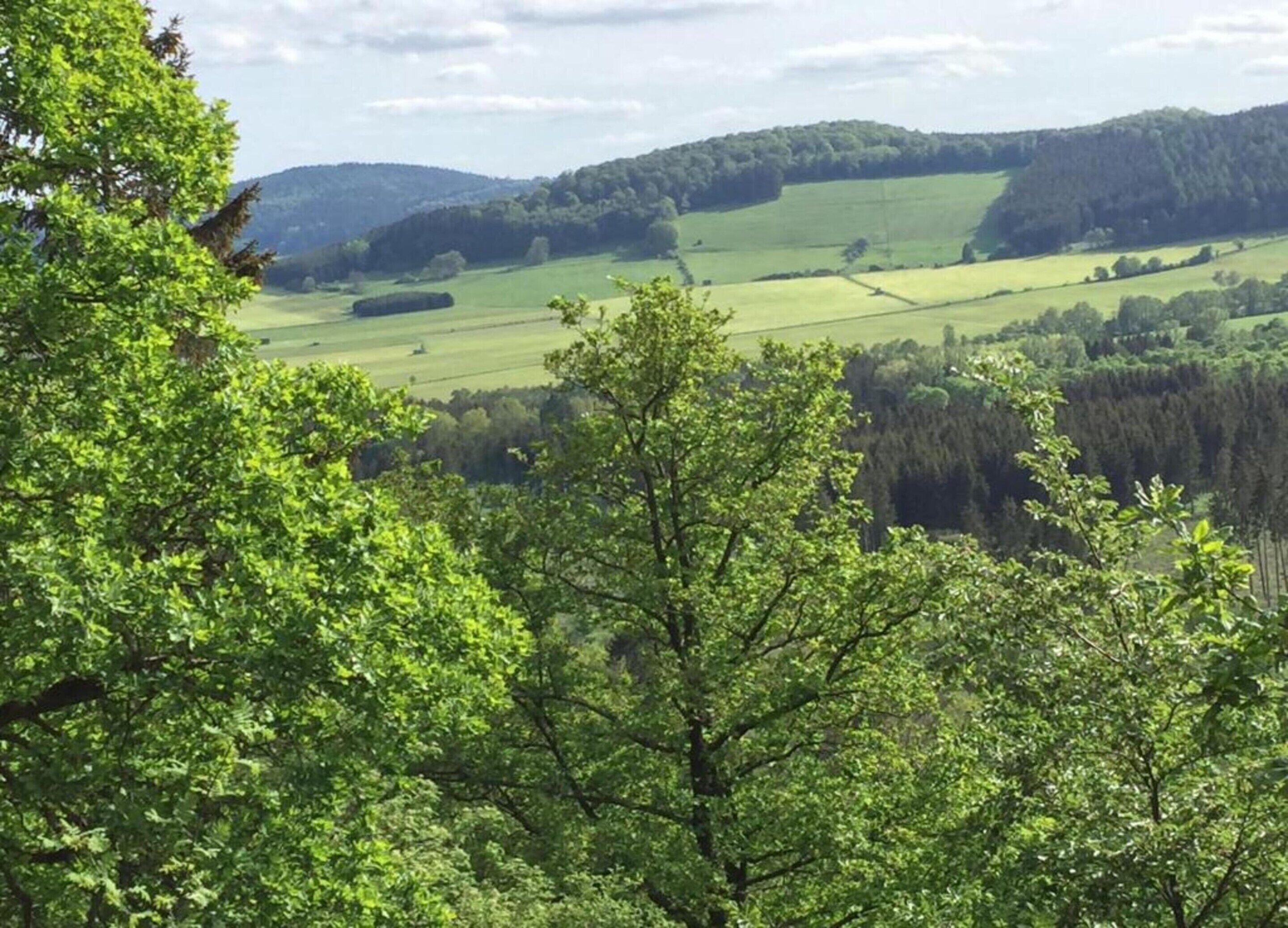 A landscape with rolling hills, dense forests, and a clear sky.