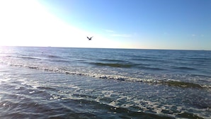 Praia