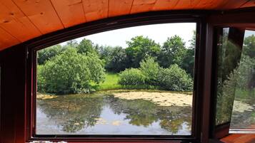 Vista desde la propiedad