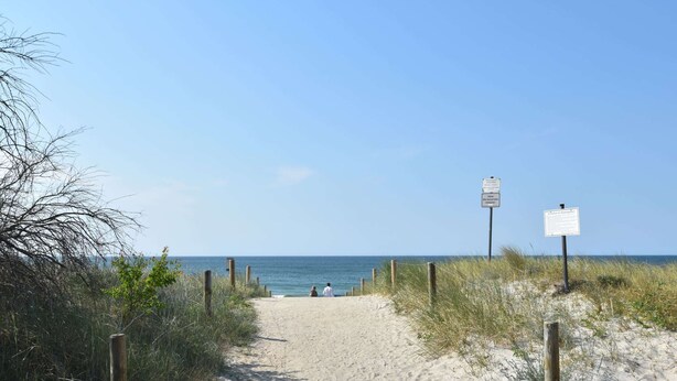 A sandy beach path leading to the ocean with two informational signs.